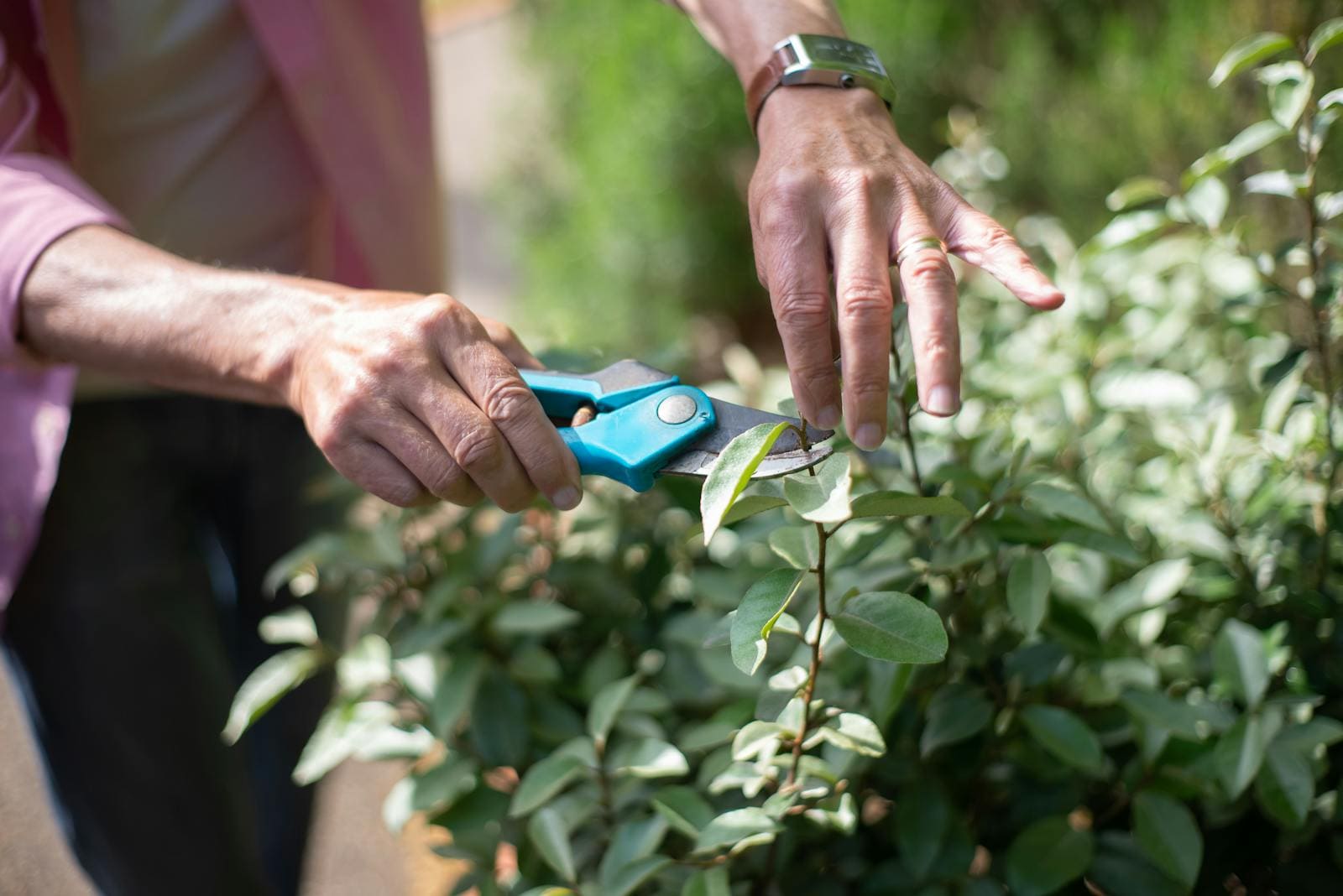 Entretien de jardin au fil des saisons
