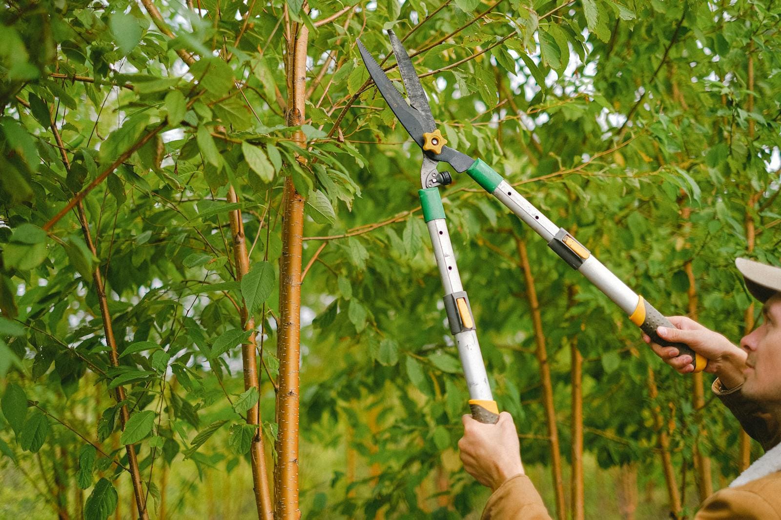 Jardins Service — entretien agréé SAP